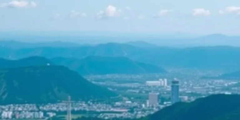 Ordu Findigi