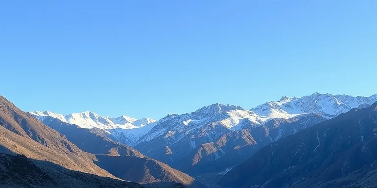 Erzincan Divrig Camuru